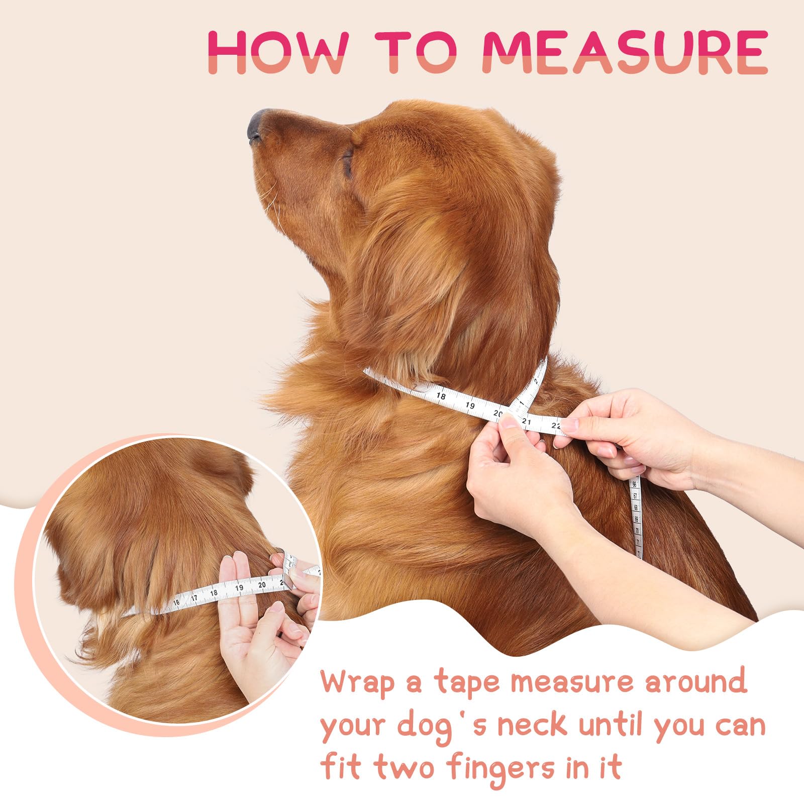 Supet cono inflable para perro, fácil de limpiar gracias a su exterior.