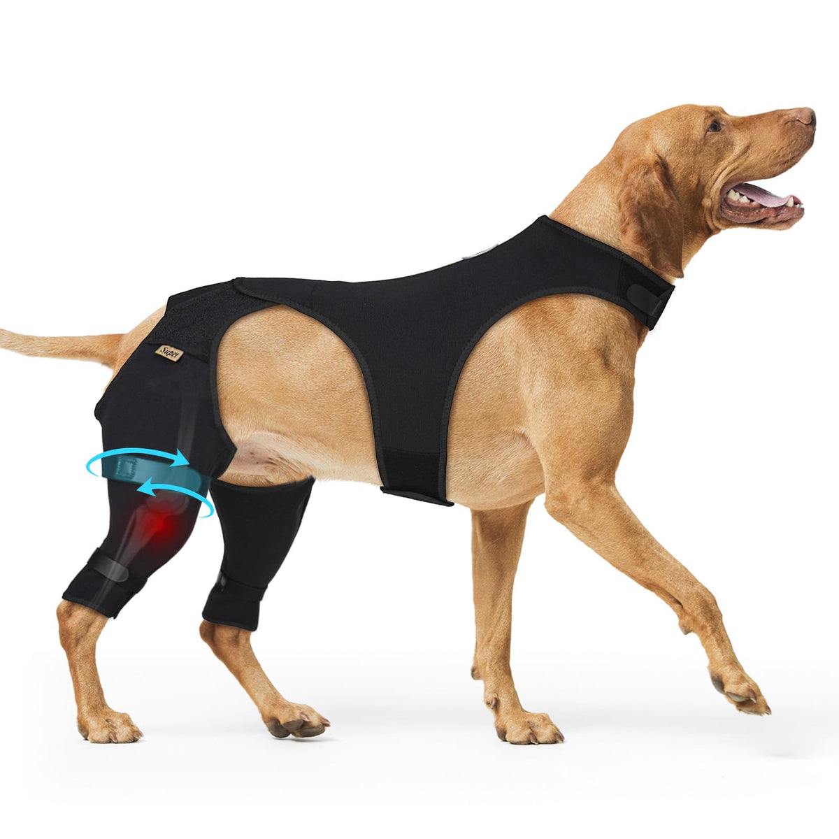 Supet manga trasera para perro en uso, protege heridas y facilita recuperación sin collar.