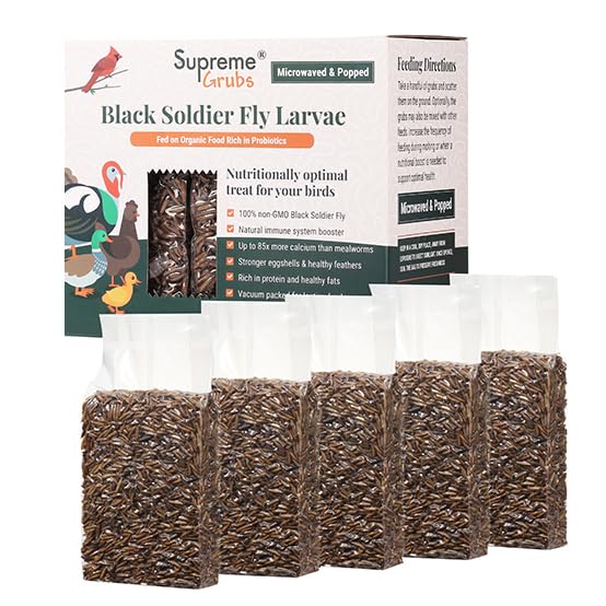 Supreme Grubs: servicio fácil, porción lista para alimentar a las gallinas.