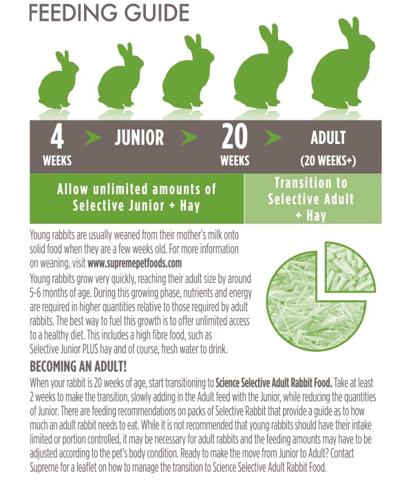 Supreme Petfoods SCIENCE Selective Junior; conejo comiendo en tazón, promueve consumo diario.