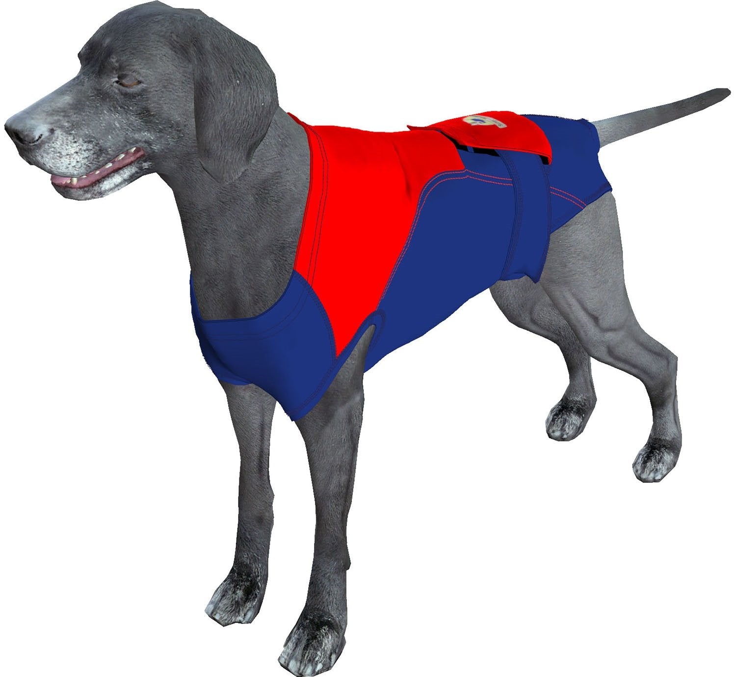 Surgi~Snuggly: perro de frente con traje de recuperación cómodo.