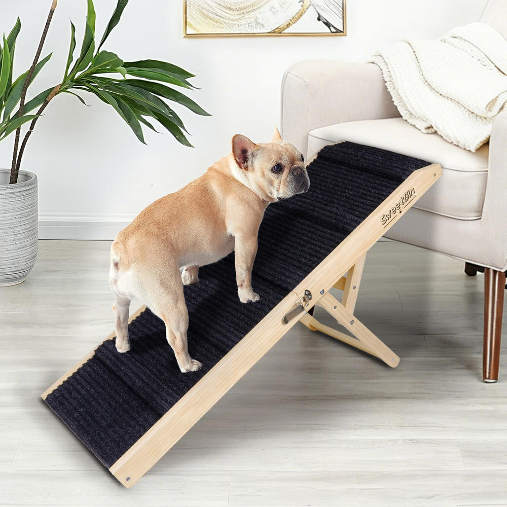 SweetBin rampa para perros: cama plegable para subir sin saltar.