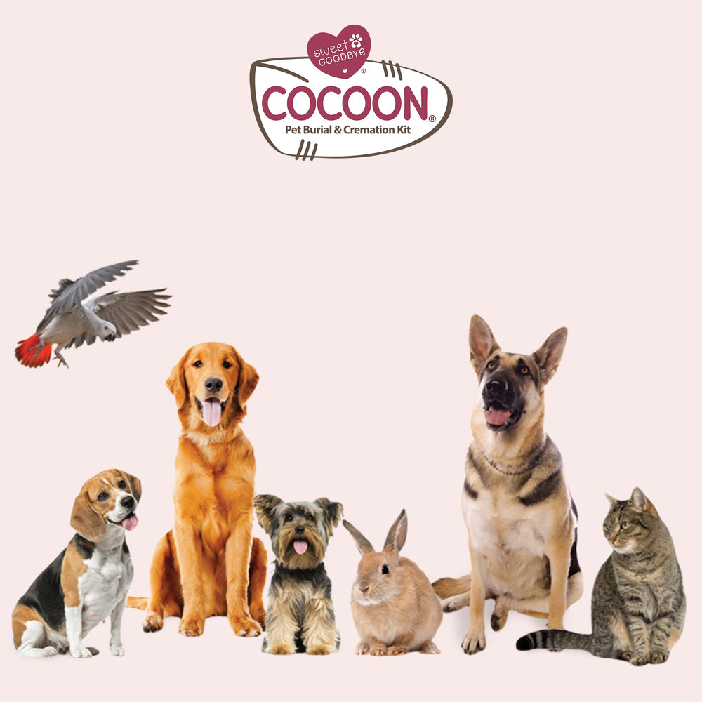Sweet Goodbye Cocoon: detalle-del-lugar-de-homenaje para recordar con cariño