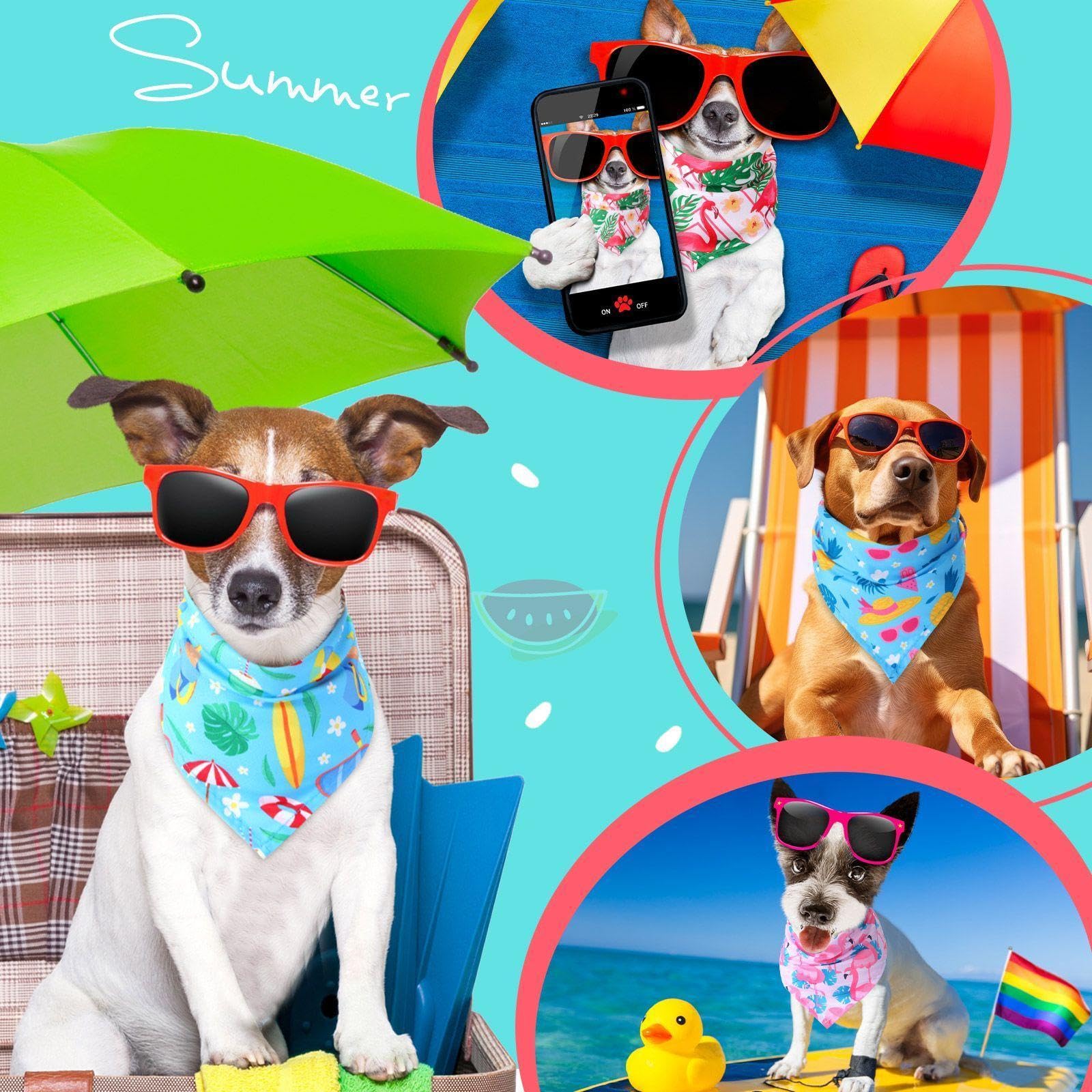 Bandanas Sweetude con sandía, diseño colorido para sesiones de fotos.