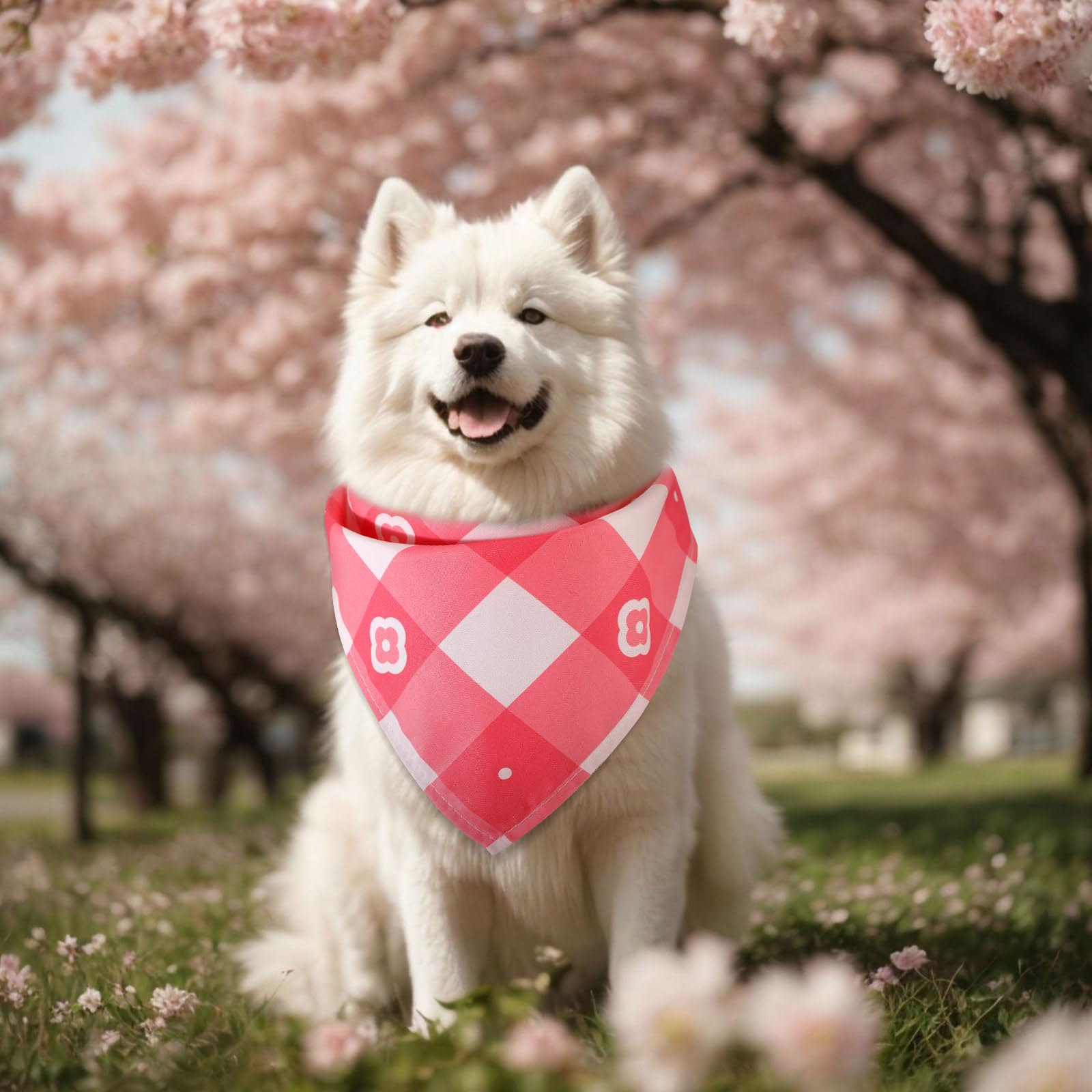 Regalo primaveral Sweetude para perros y gatos.