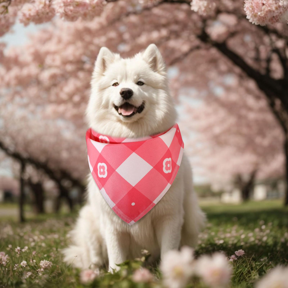 Regalo primaveral Sweetude para perros y gatos.