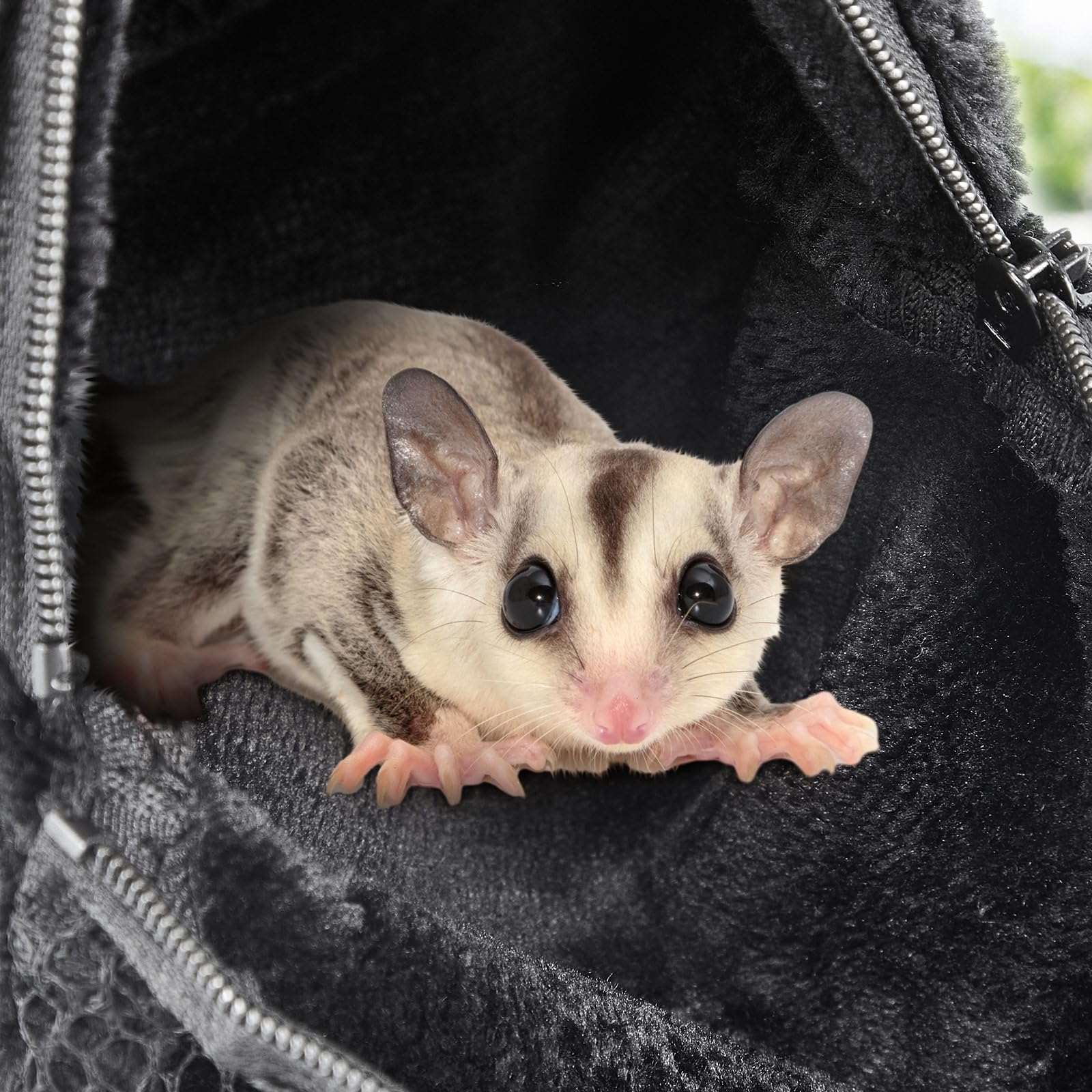 Sweetude paquete de 2 unidades, listas para usar en salidas.
