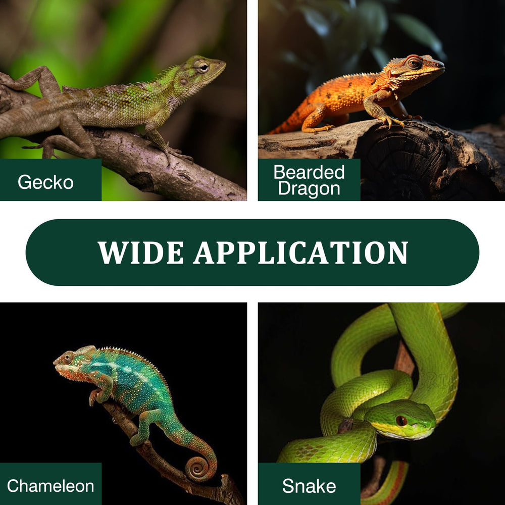 Swirge diseño jungla para tanque reptiles crea ambiente natural y decorativo.