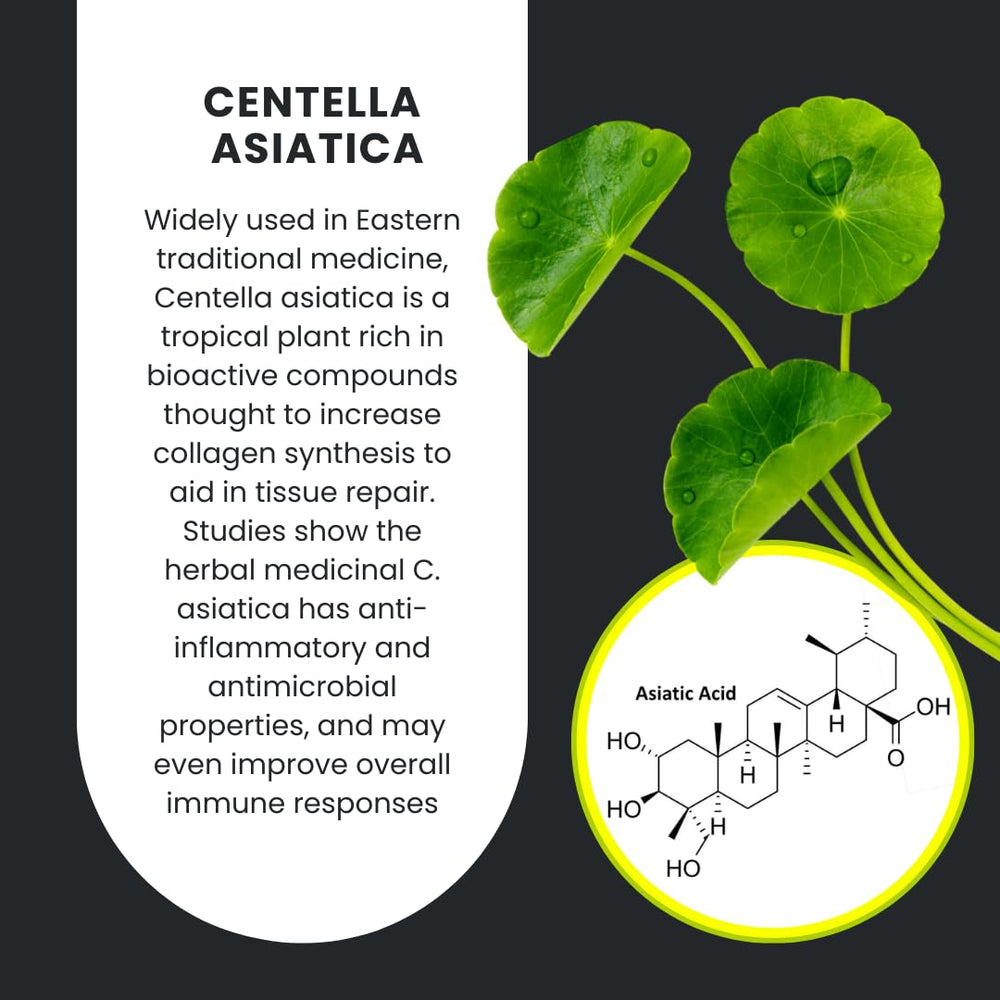 Polvo fino de GastroMend, textura agradable que se mezcla con el pienso diario.