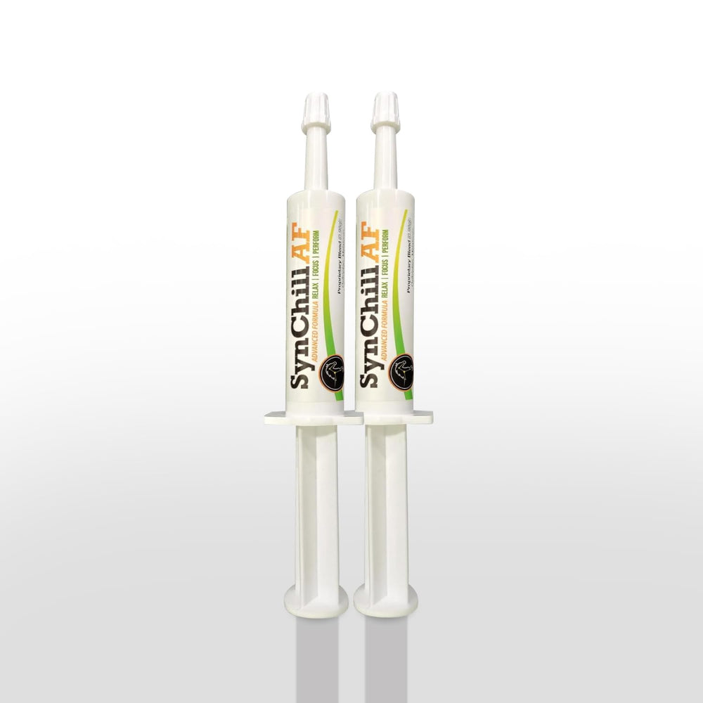 SynNutra Equine SynChill AF, botella de gel lista para apoyar la compostura durante entrenamiento.