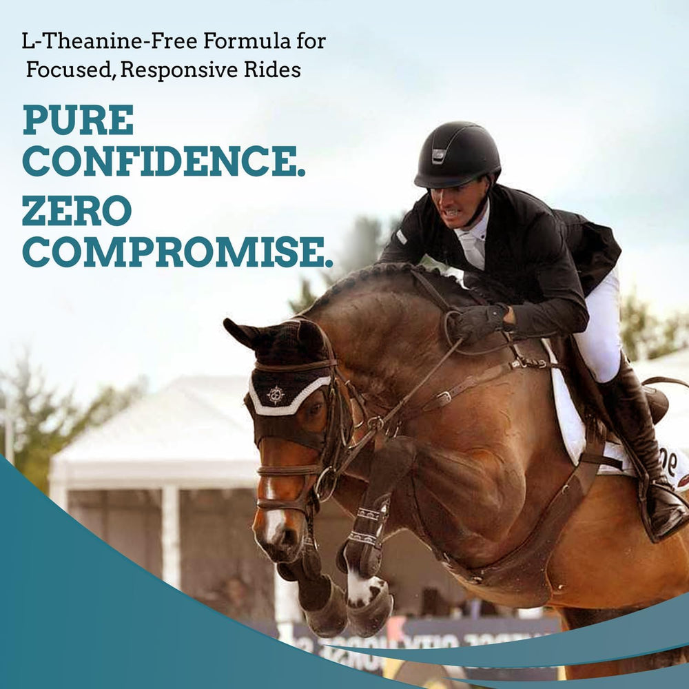SynNutra Equine SynChill, escena-entrenamiento, caballo concentrado sin interferencias.