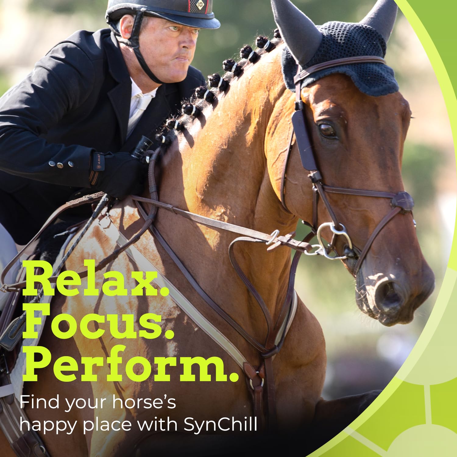 SynNutra Equine SynChill, hecho en EE. UU., con cumplimiento de calidad
