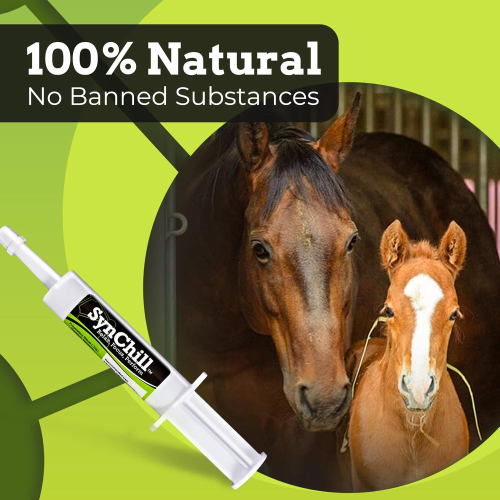 Textura ámbar natural de SynChill, sabor suave para caballos