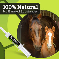 Textura ámbar natural de SynChill, sabor suave para caballos