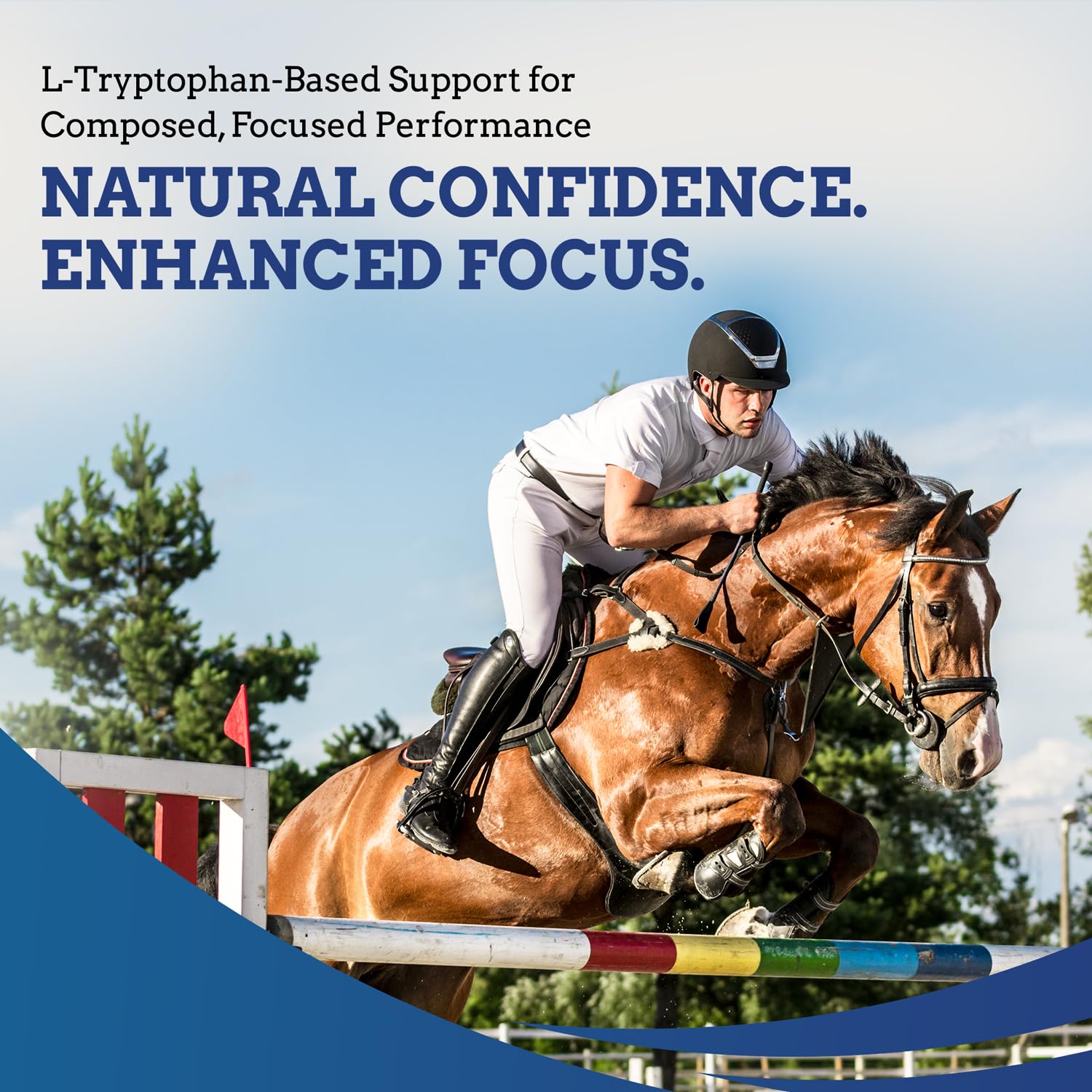 SynNutra Equine TryChill: envase abierto mostrando la presentación para almacenamiento.