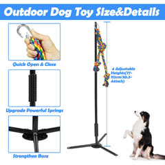 SYOOY Tether con dos cuerdas y campanas para perros curiosos
