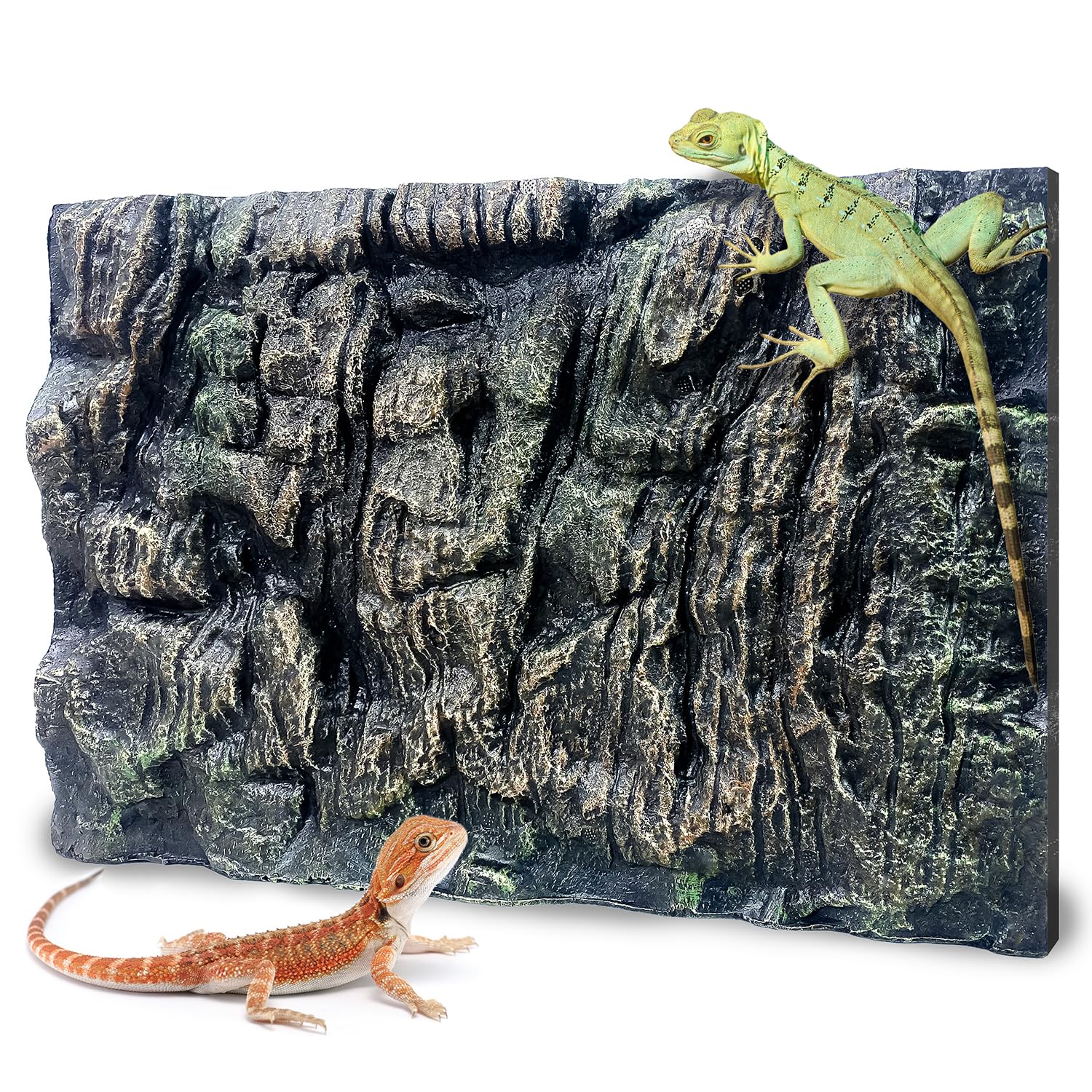 Sysmashing fondo tierra 3D para reptiles: crea un entorno natural y duradero.