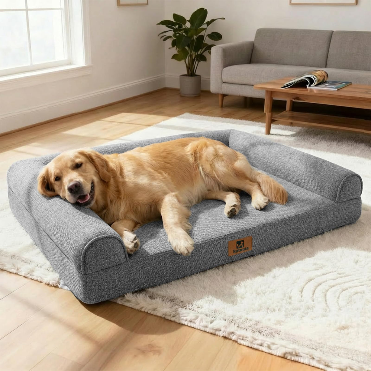 Cama Sytopia para perro grande con espuma ortopédica de soporte