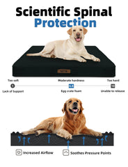 Cama Sytopia Indestructible XXL para perros muy grandes, espacio amplio