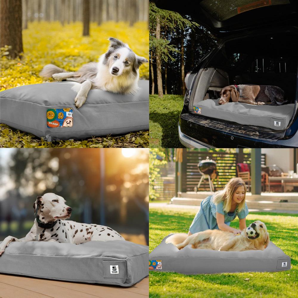 Sytopia disponible en tamaños M a XXL para todo perro.
