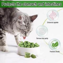 Palito crujiente SYWUAII para dientes, preferido por muchos gatos.