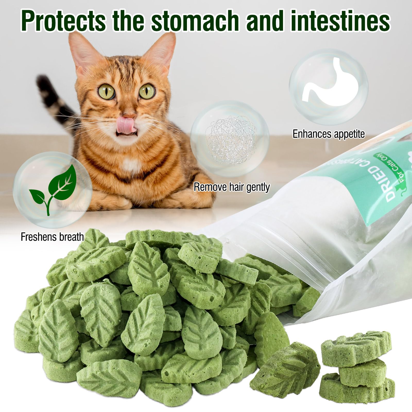 Textura masticable SYWUAII para gatos y masticación saludable.