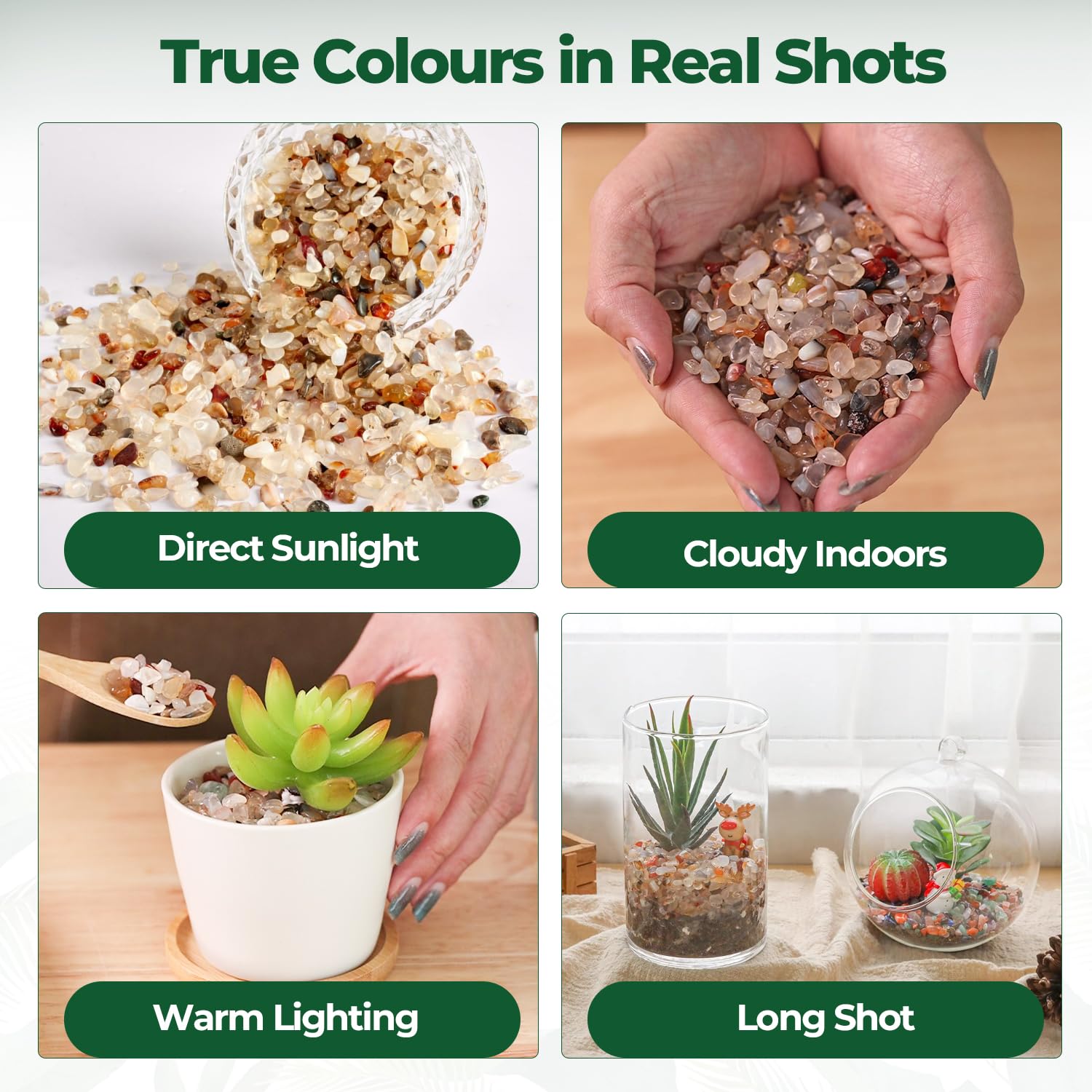 Cailloux brisés T4U pour terrarium, effet naturel et harmonieux.