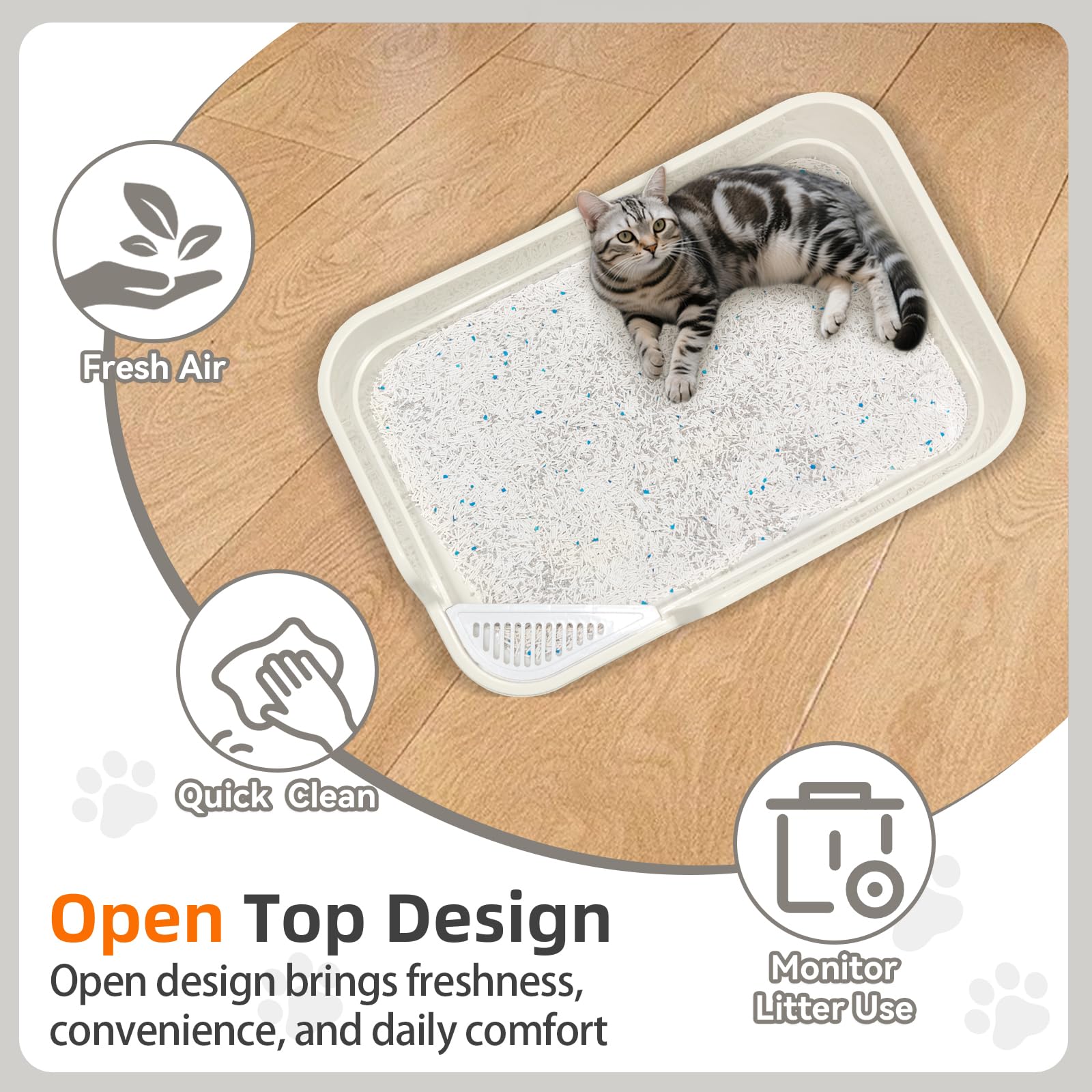 TAILRYTH caja para varios gatos, cómodo para gatos mayores.