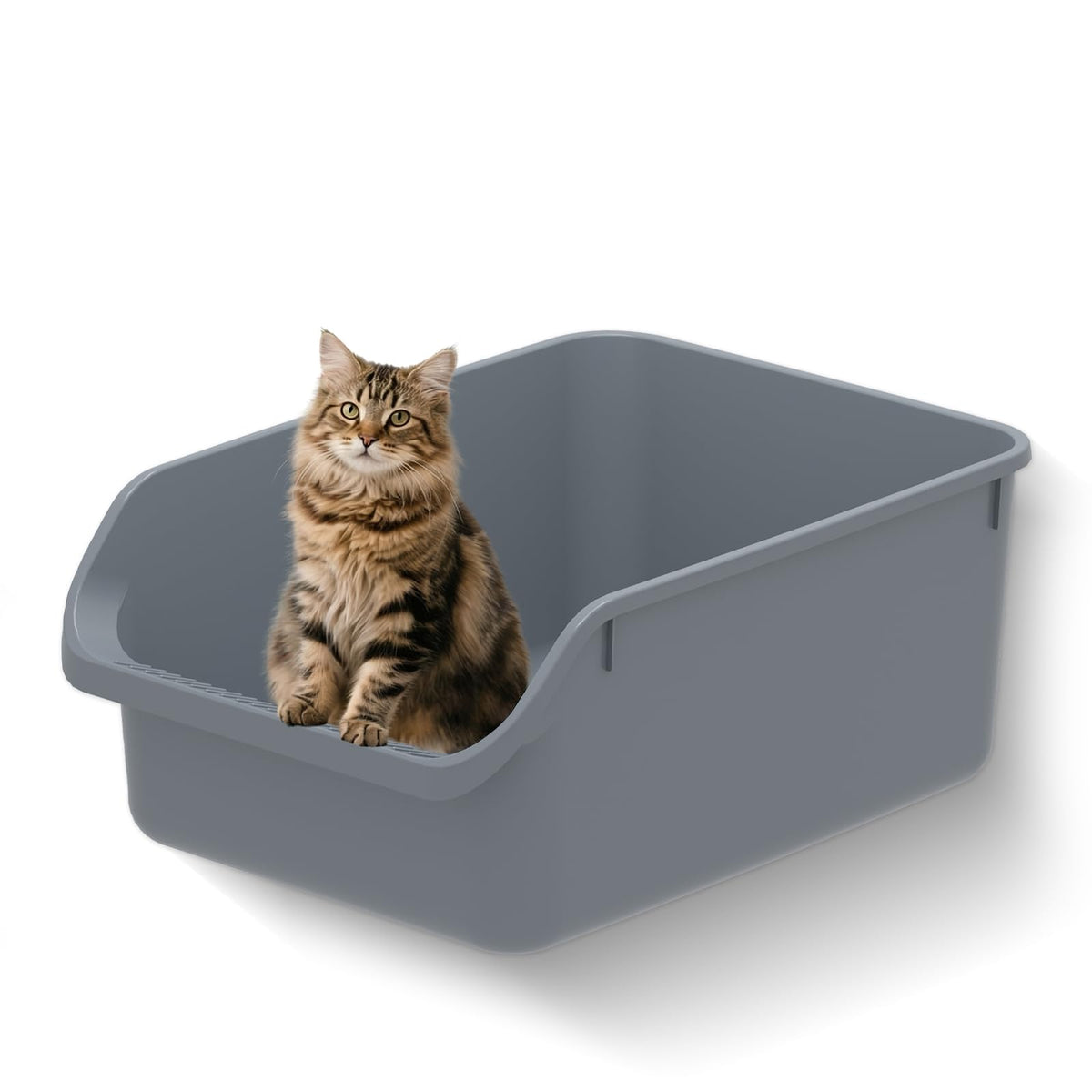 TAILRYTH caja de arena con entrada baja, ideal para gatitos y gatos mayores.