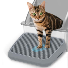 TAILRYTH rampa elevada para gatos facilita acceso cómodo para gatitos y gatos mayores.