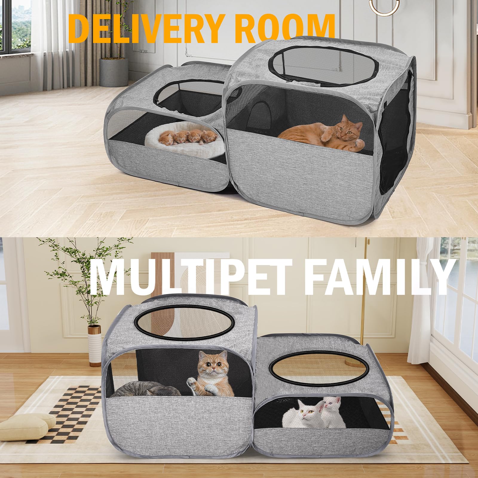 TailTastic diseño plegable de una pieza facilita transporte y almacenamiento