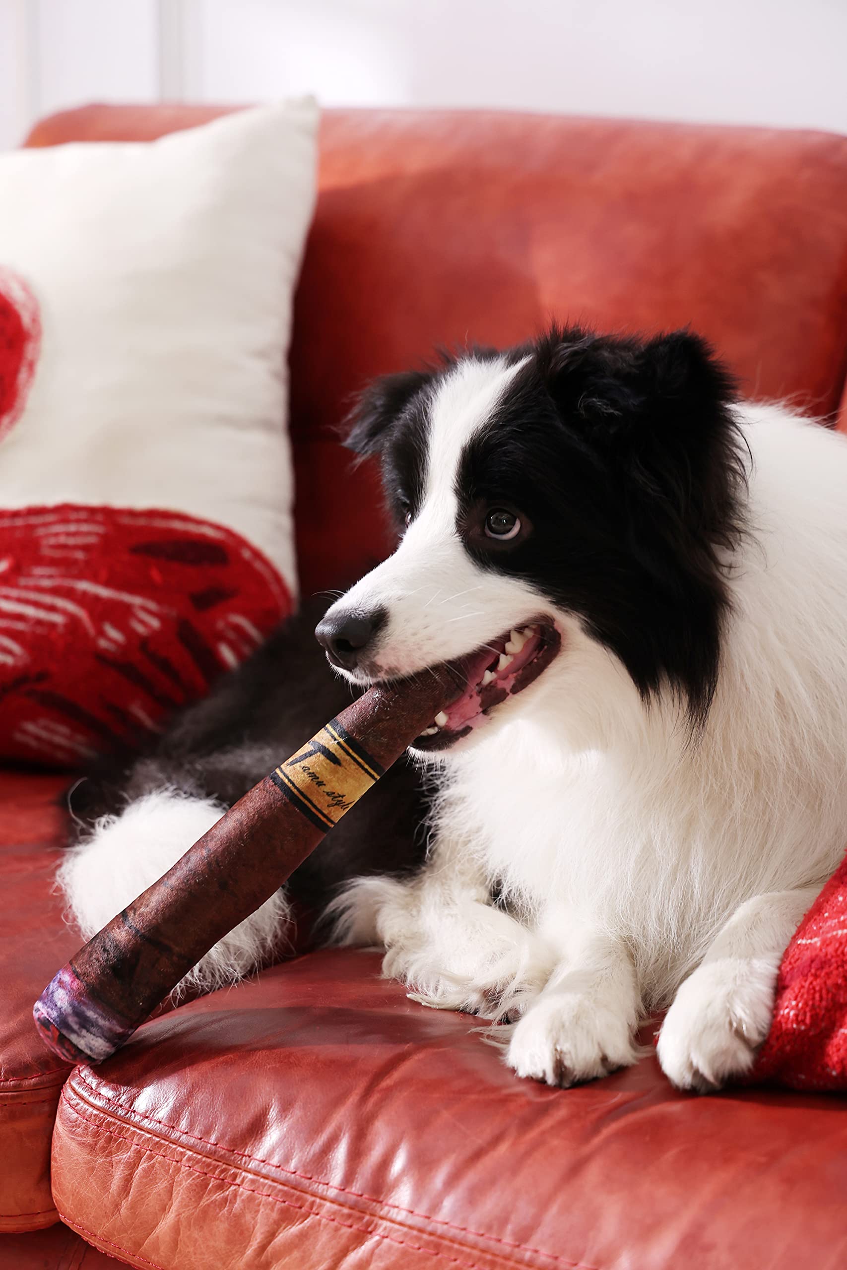 Tamu style juguete interactivo para perros, ideal para juegos.