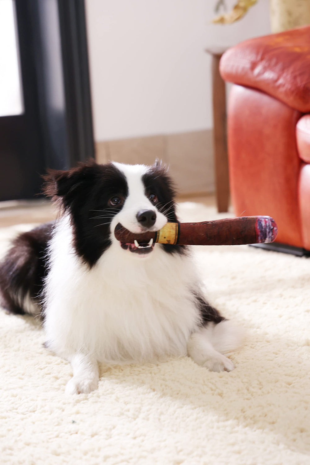 Tamu style uso diario divertido en casa para perros.