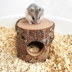 TANOMA Habitat detalle madera de manzana, opción ecológica para roer y explorar.