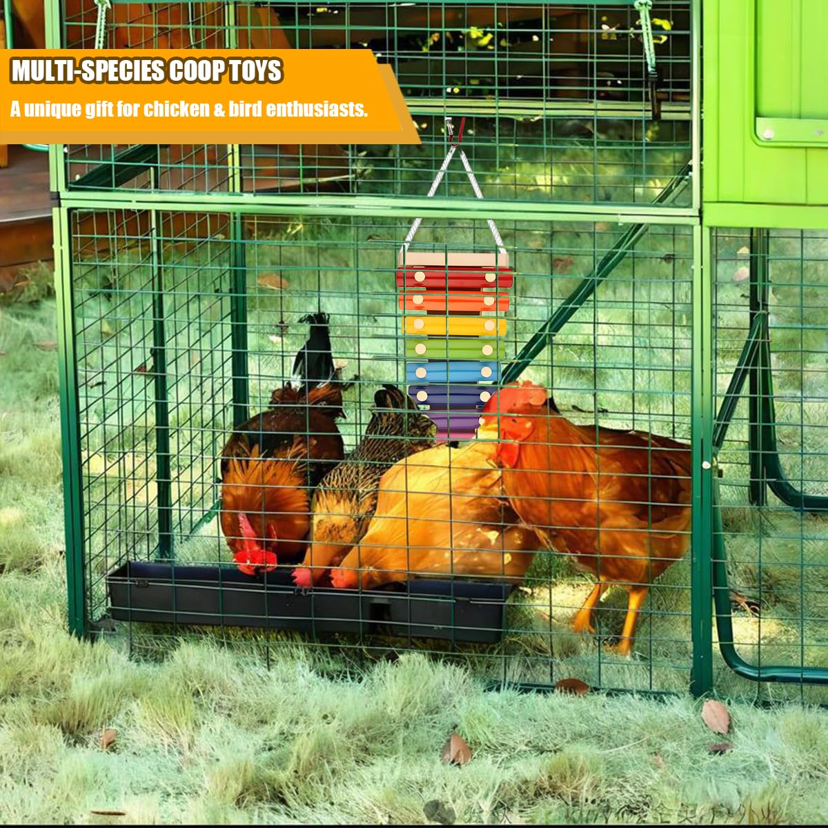 Tarandus juguete para pollos y loros, entretenimiento interactivo en jaula.
