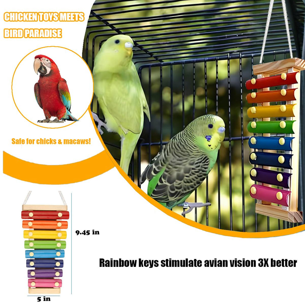 Tarandus xilófono colorido para aves, estímulo visual y musical para cada jornada.