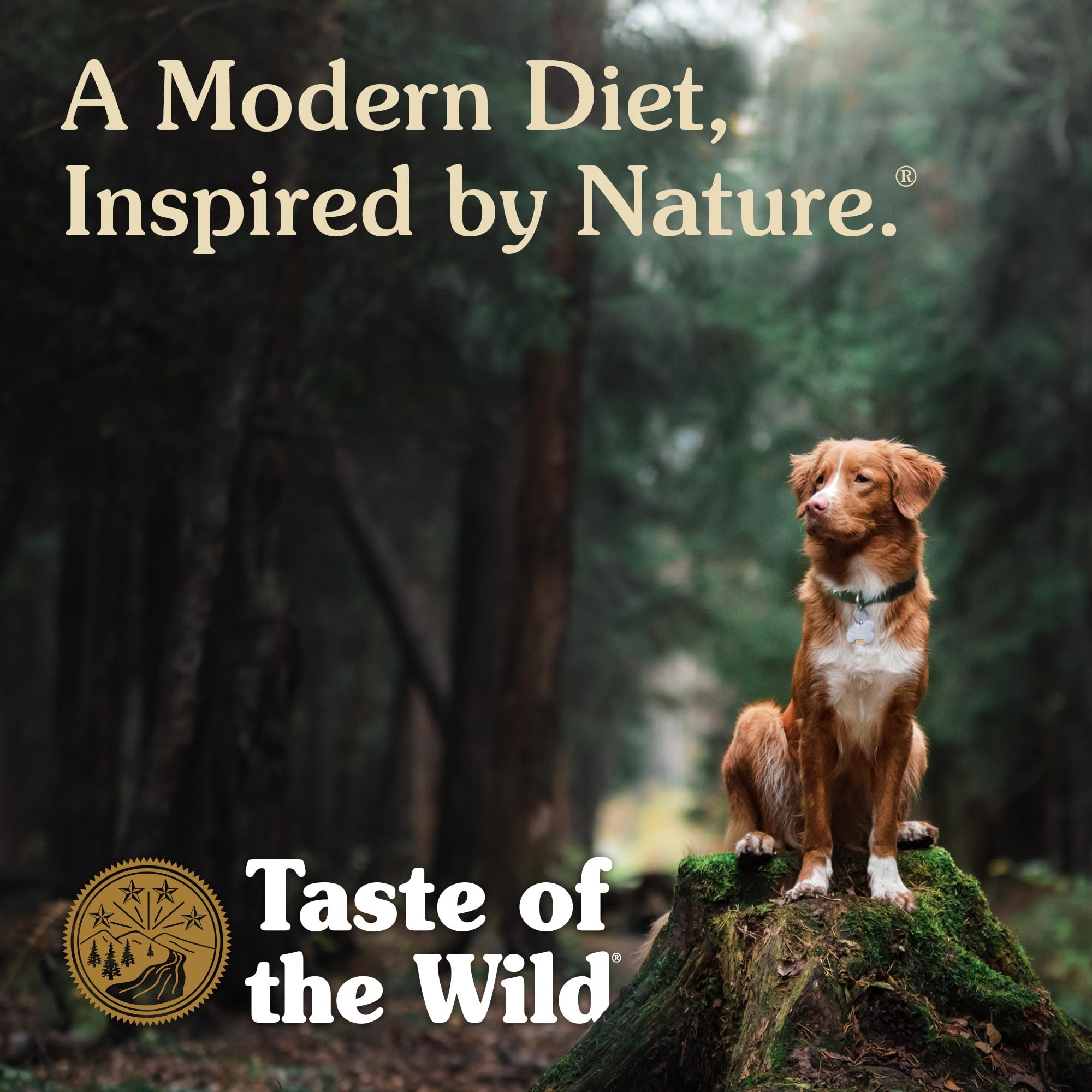 Taste of the Wild saco de 14 libras para uso diario.