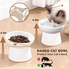 Cuenco cerámico para gatos con inclinación de 15 grados, facilita la alimentación.