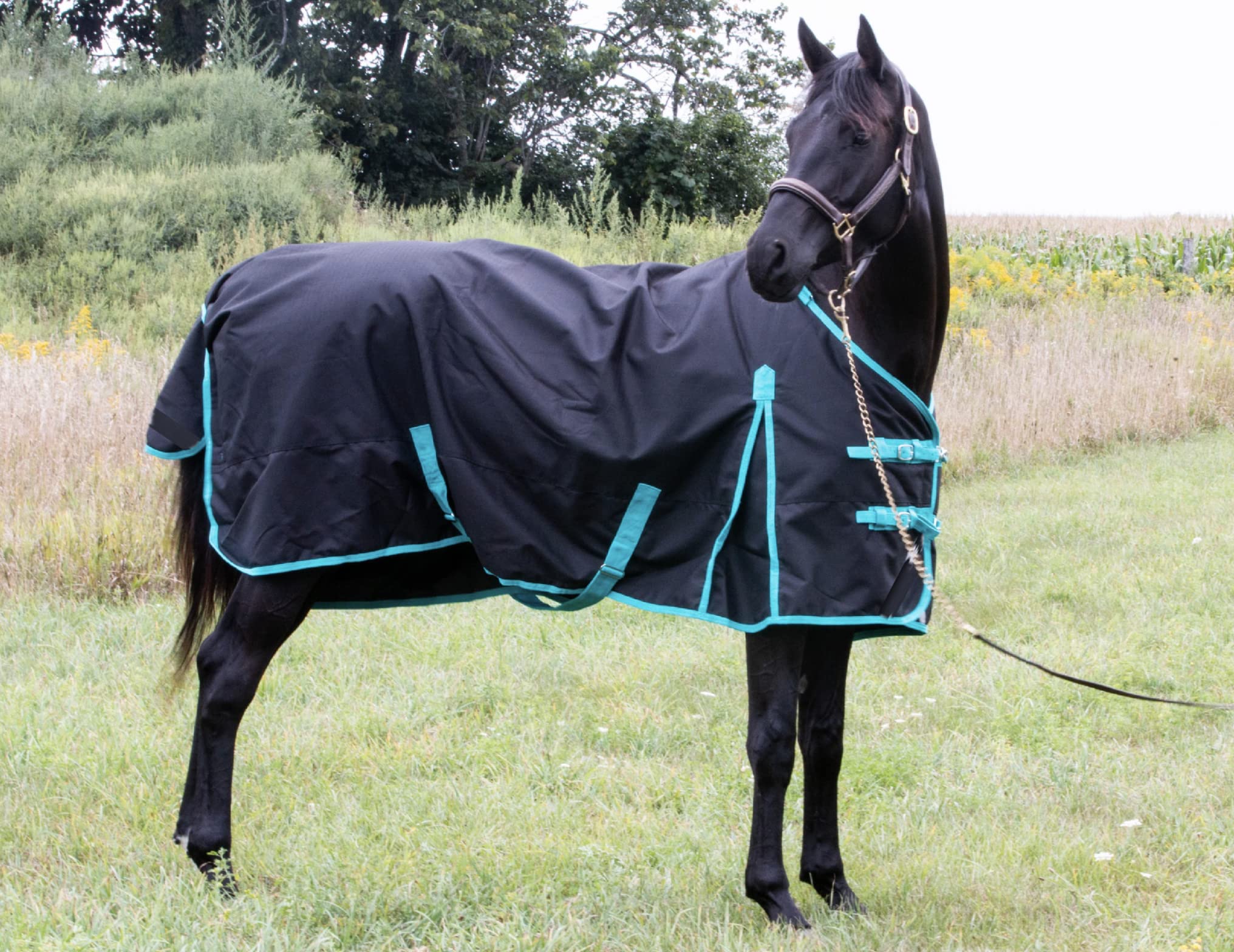 Tech Equestrian costuras selladas impermeables y visibles para mayor durabilidad