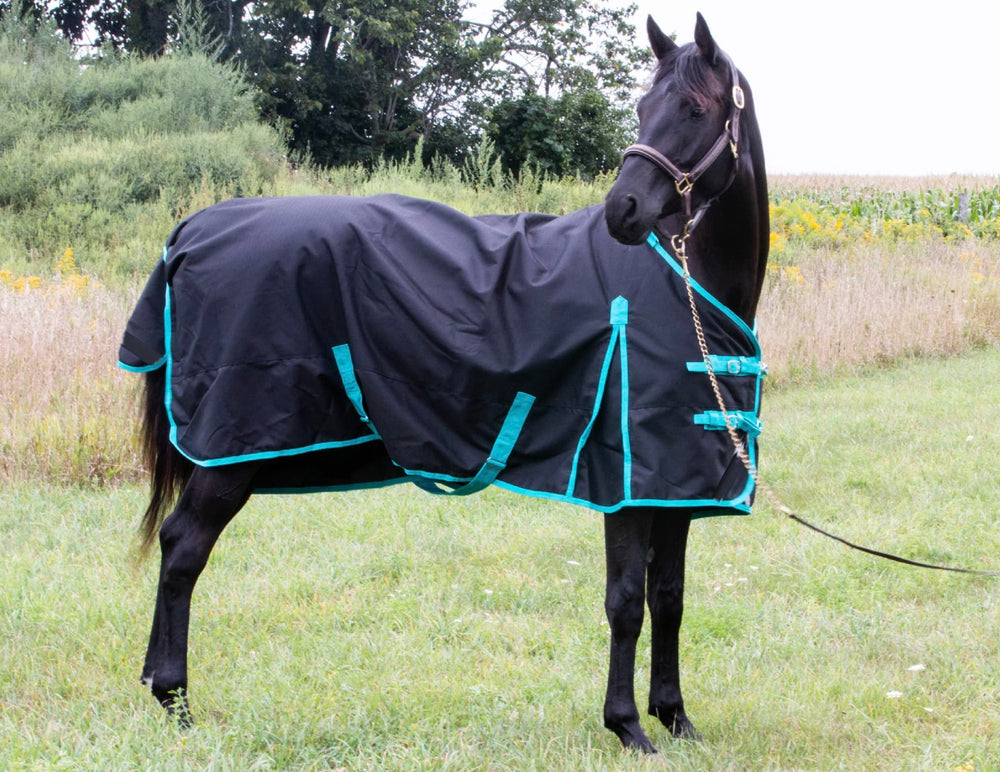 Tech Equestrian costuras selladas impermeables y visibles para mayor durabilidad