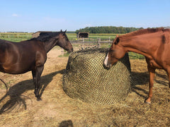 Tech Equestrian red de heno sin nudos 4-5 mm para boca suave del caballo