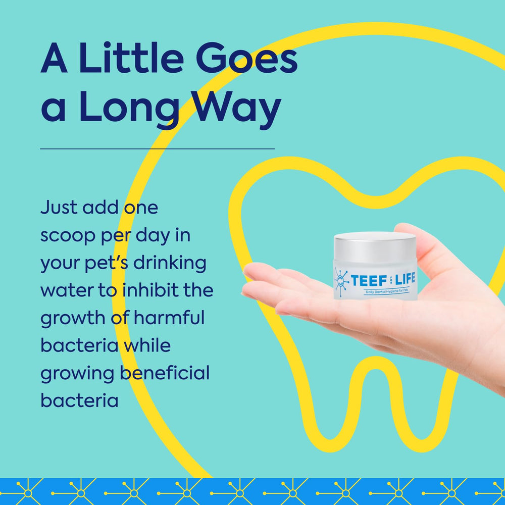 Kit de tres sobres Protektin42 para cuidado dental sostenido.