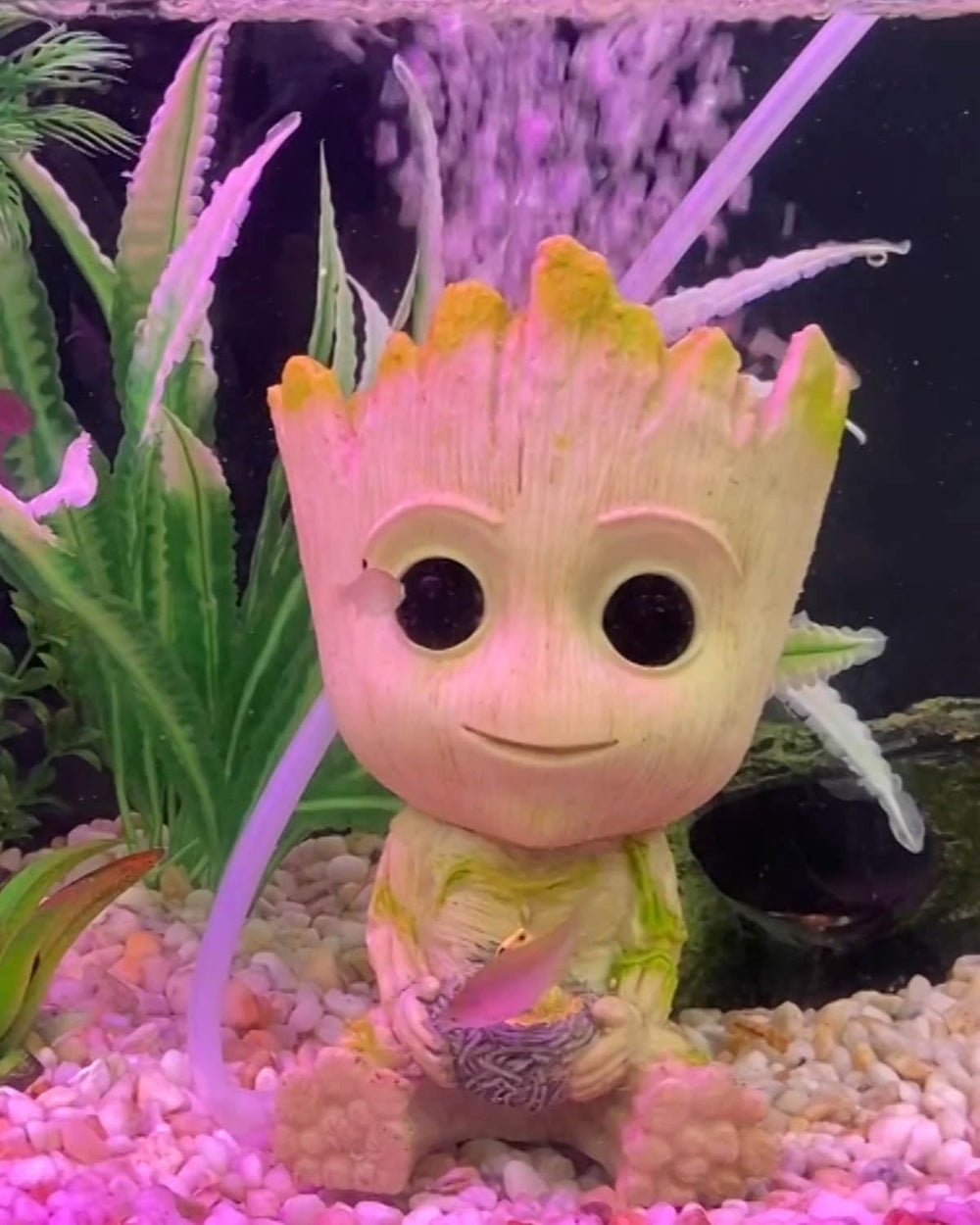 TEEMO Groot ventosas, fijación segura al cristal.