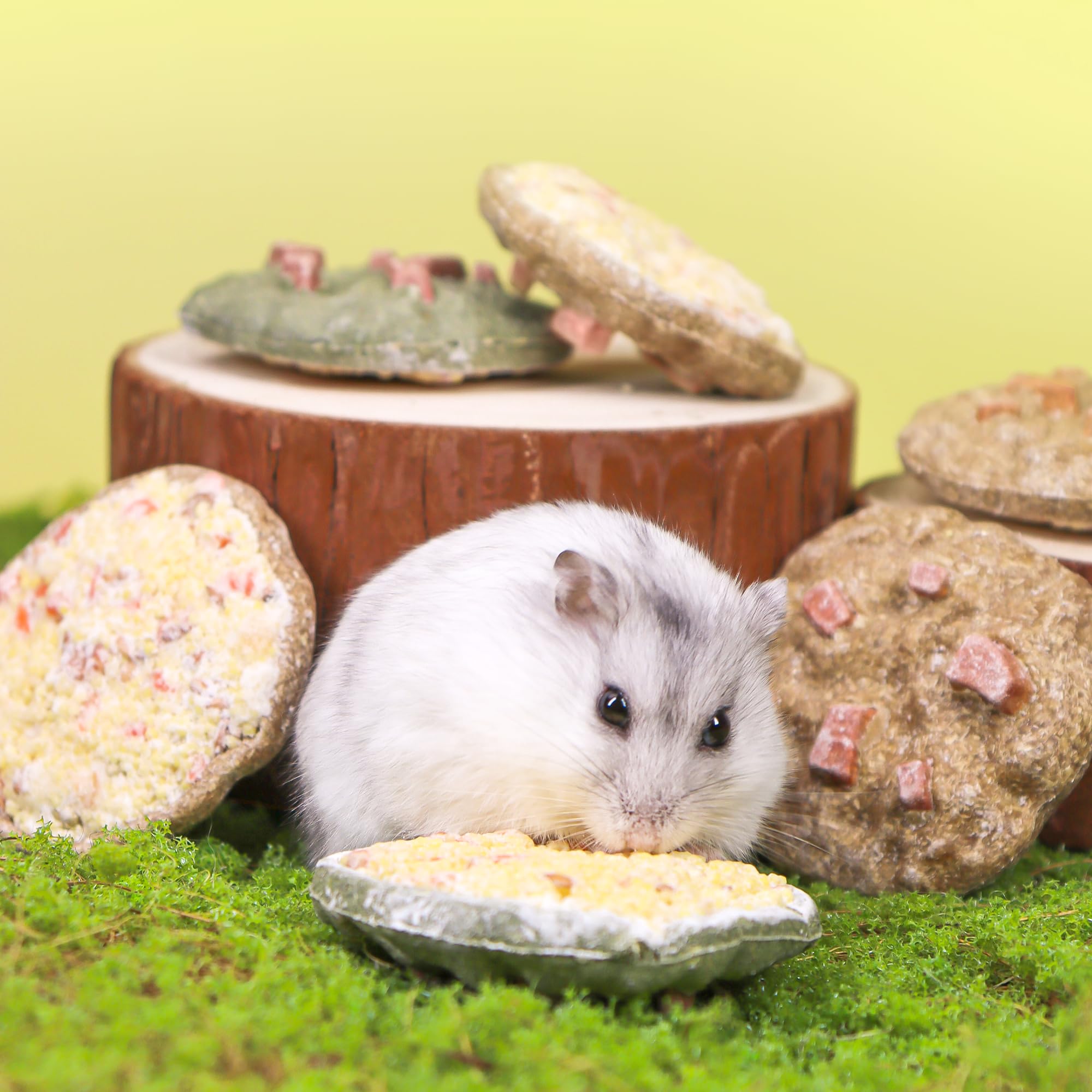 TEEWY Cookie Guinea Pig Toys: decoración atractiva para la jaula con beneficios para la masticación.