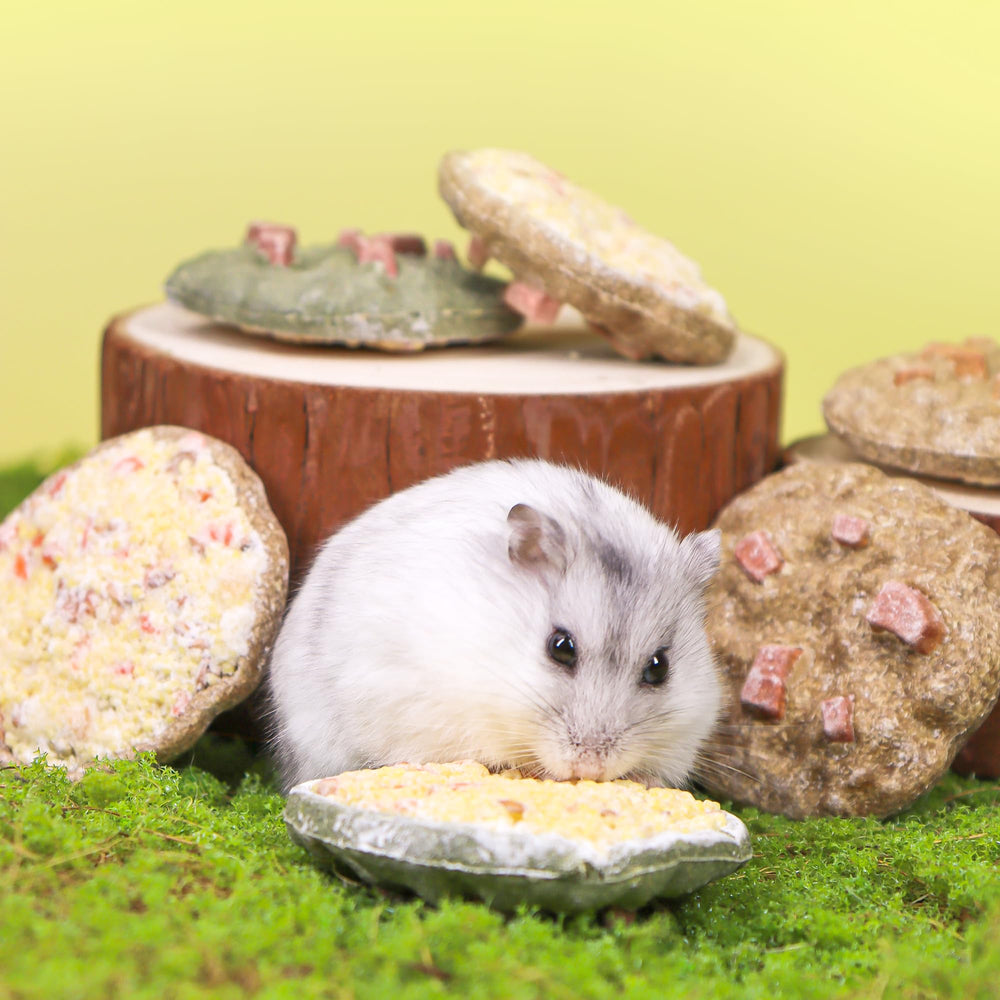 TEEWY Cookie Guinea Pig Toys: decoración atractiva para la jaula con beneficios para la masticación.