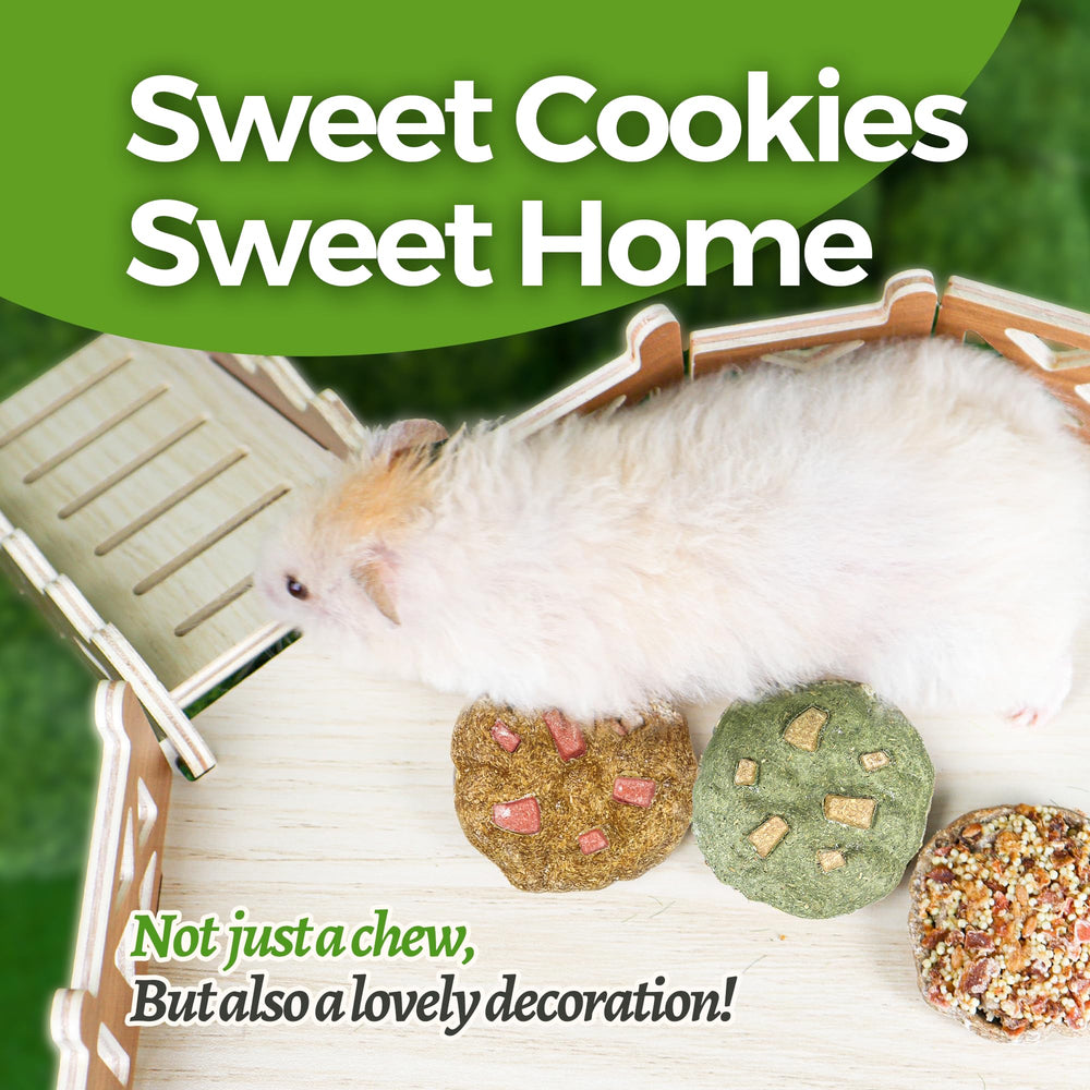 TEEWY Cookie Guinea Pig Toys: juego interactivo que fomenta la exploración y la felicidad.