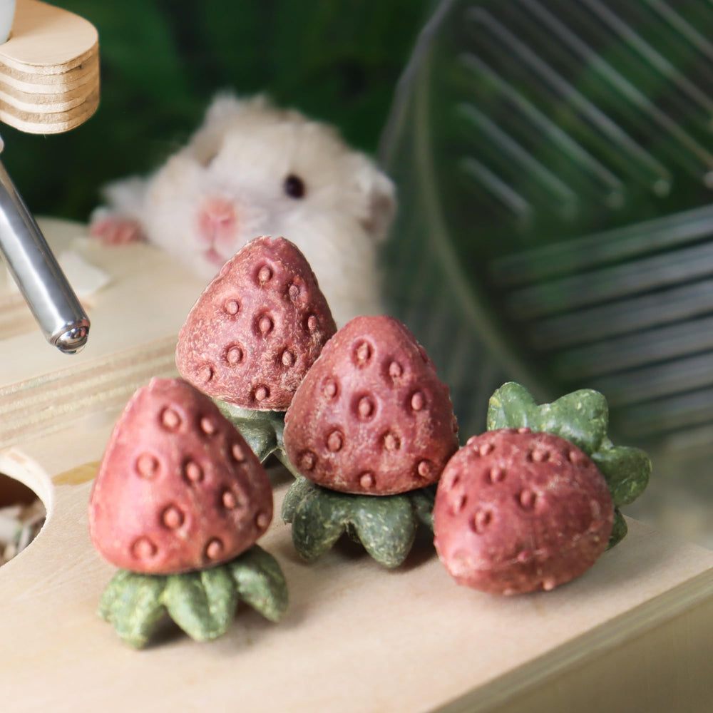TEEWY juguetes fresa para gerbos, fomenta masticación y exploración.