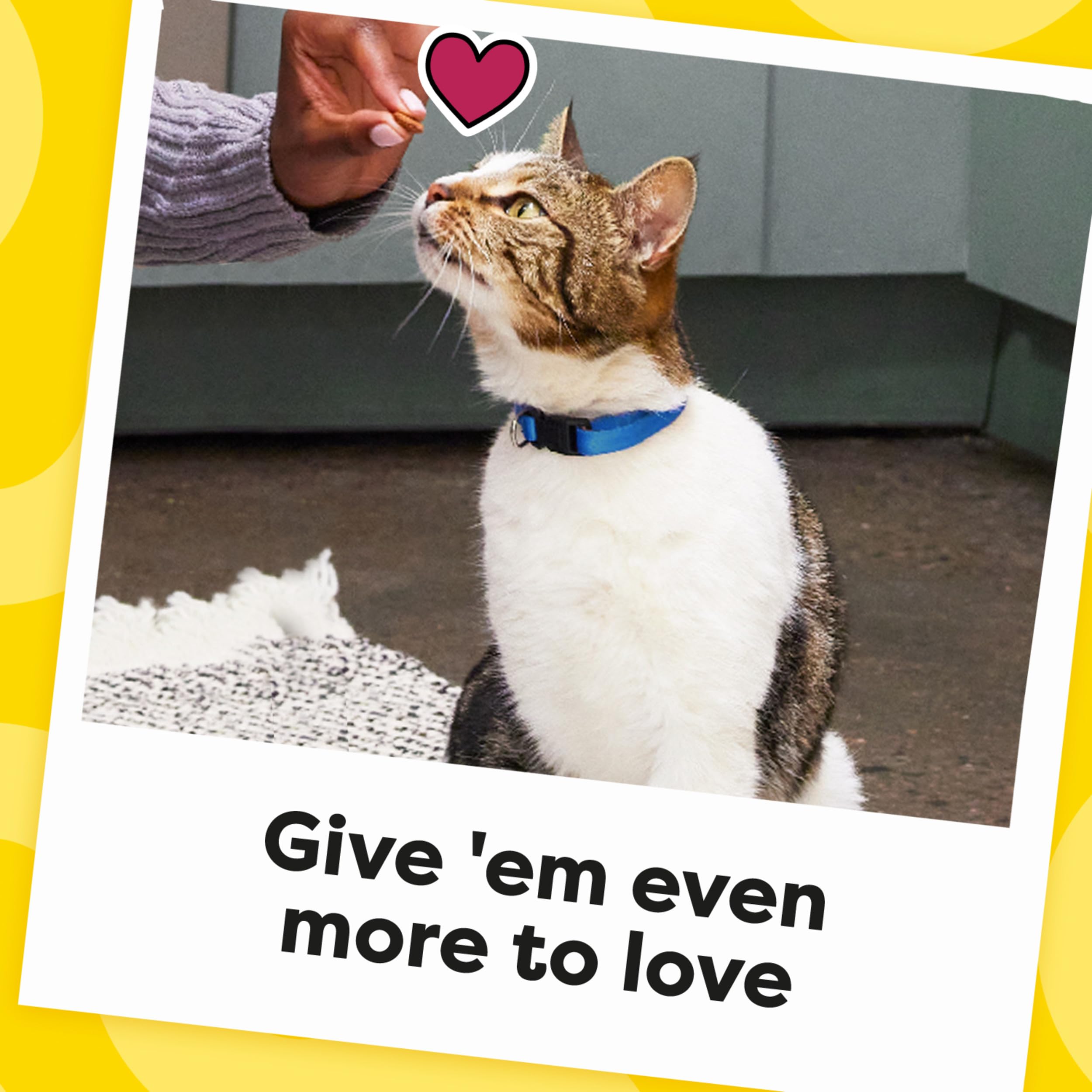 Temptations complemento de comida, ideal como topping para gatos.