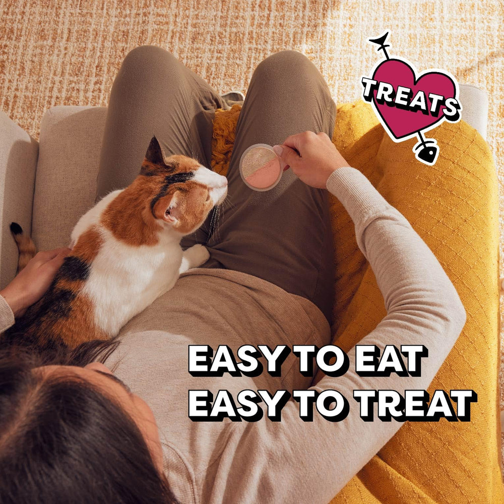 Diseño sin desorden Temptations para snack rápido