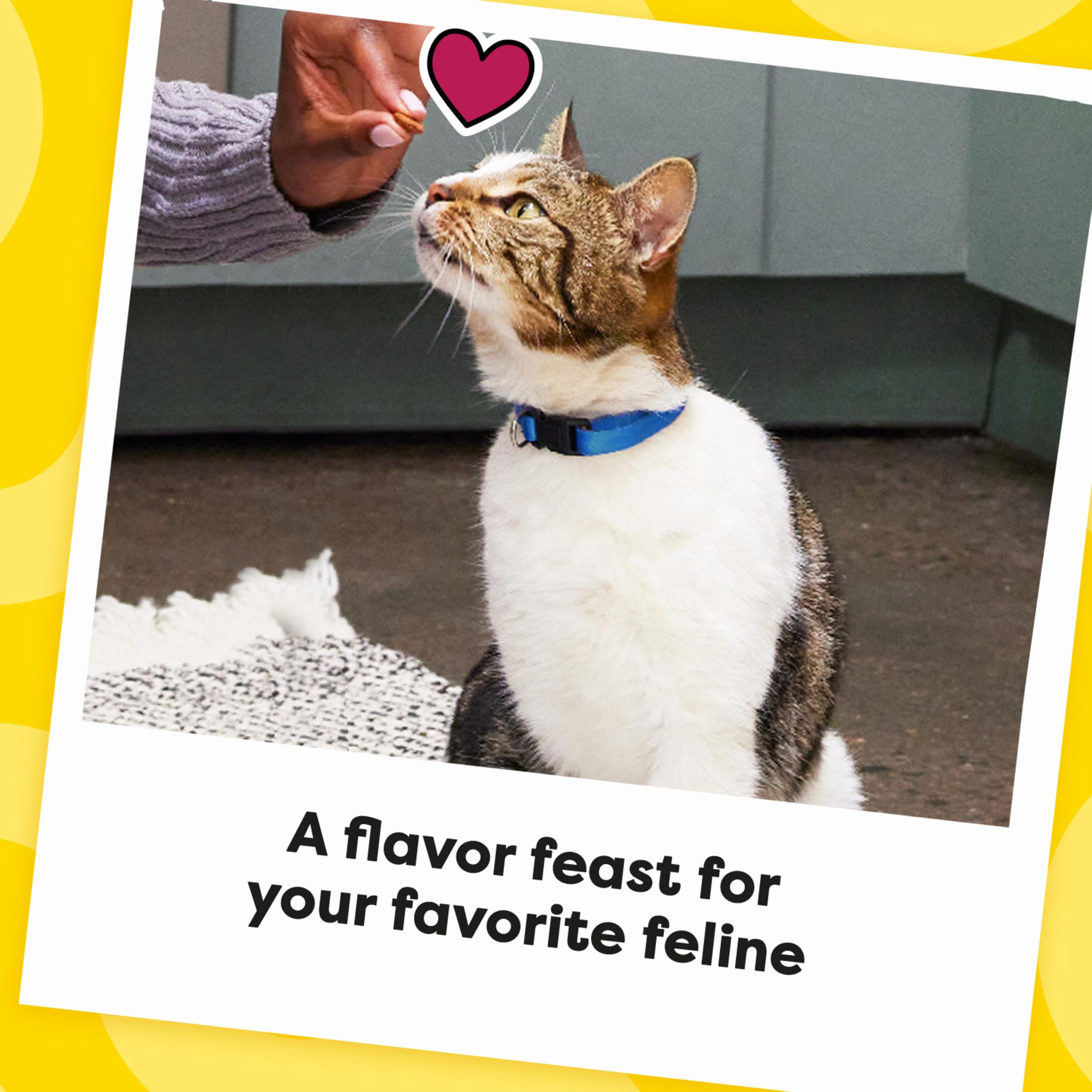 Temptations MixUps Backyard Cookout: recompensas diarias para gatos de interior